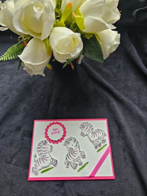 Carte Zèbre naissance Fille